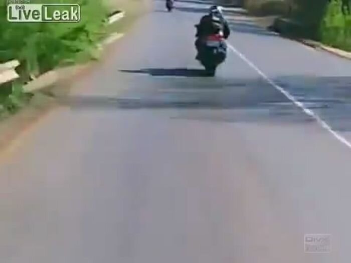 Видео дня