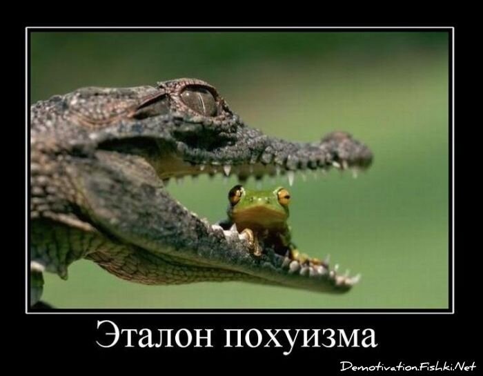 Демотиватор