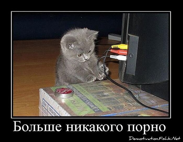 Демотиватор