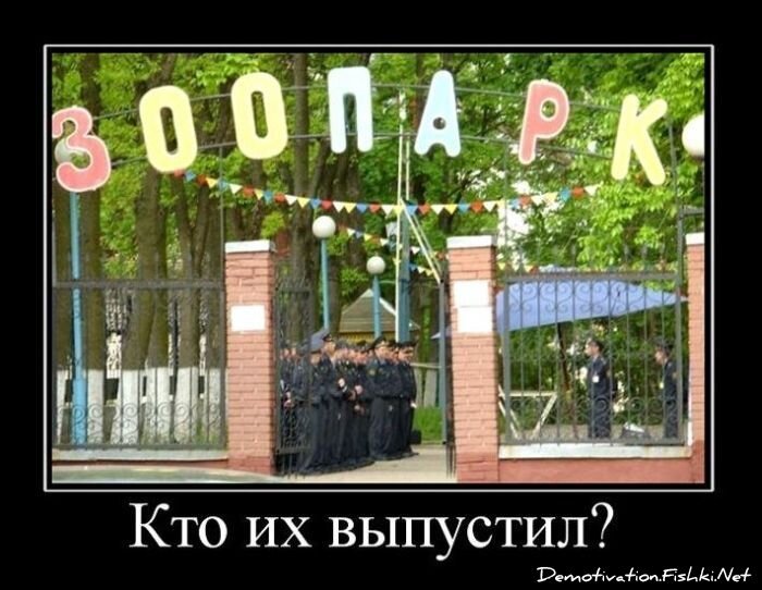 Демотиватор