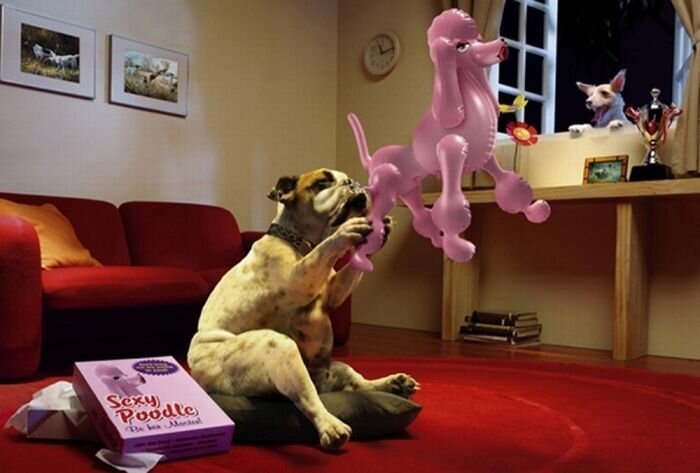 Прикольные фото