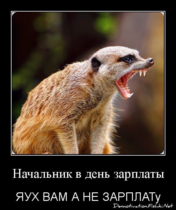 Начальник в день зарплаты