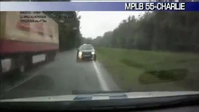 Видео дня