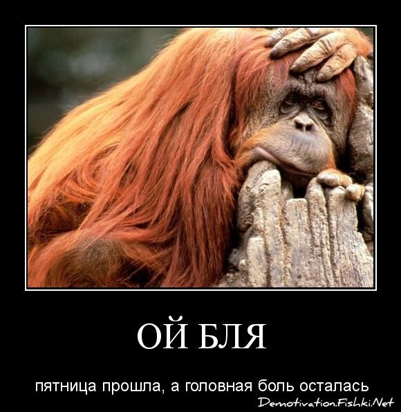 ОЙ БЛЯ