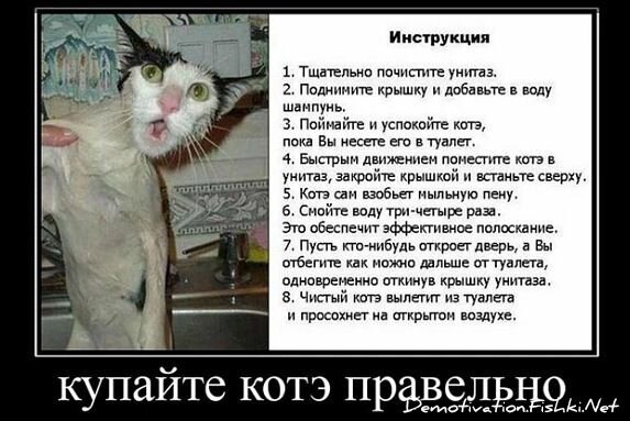 Демотиватор