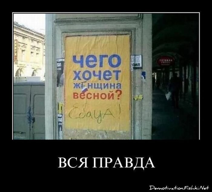 Демотиватор