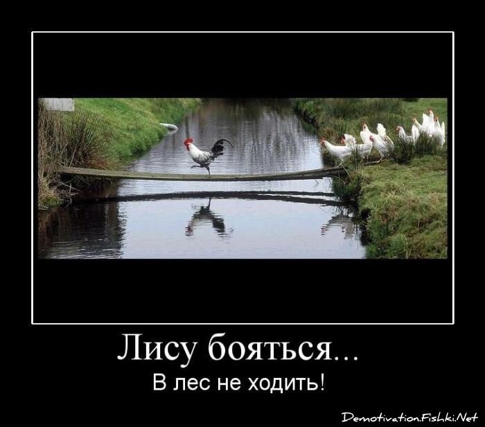Демотиватор