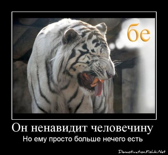 Демотиватор