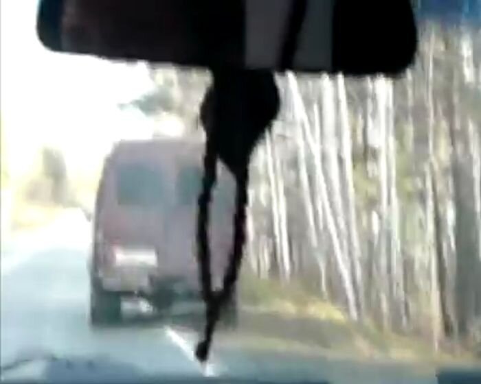 Видео дня
