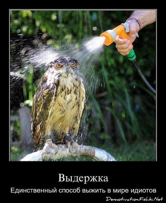 Демотиватор