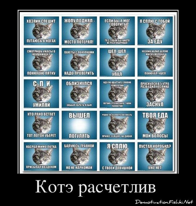 Демотиватор