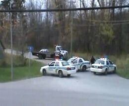 Подборка роликов