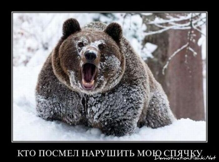 Демотиватор
