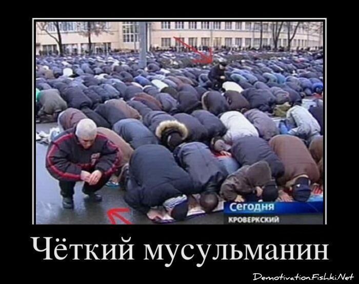 Смешной демотиватор от zubrilov за 09.11.2011 №93578