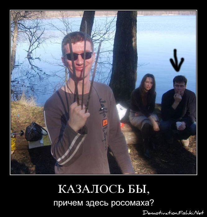Демотиватор