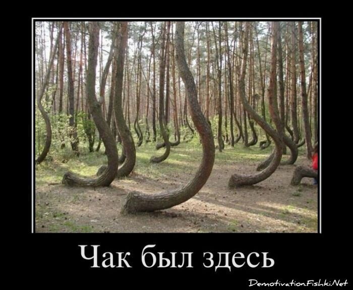 Демотиватор