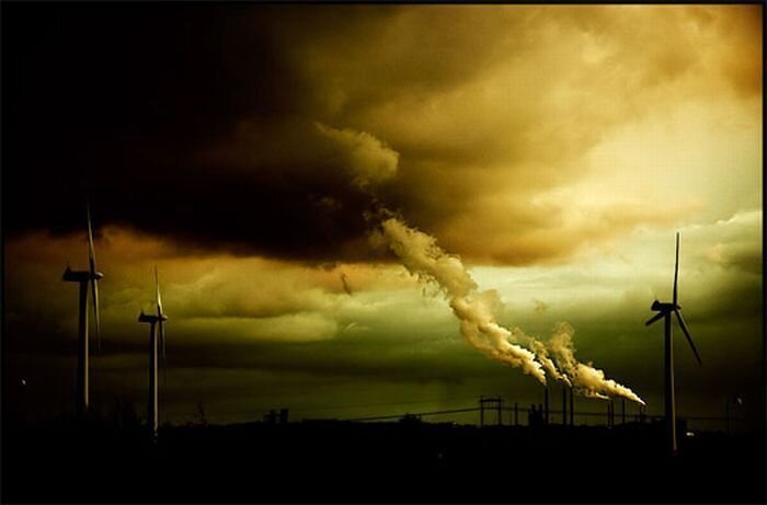 Страшная красота (40 фото)