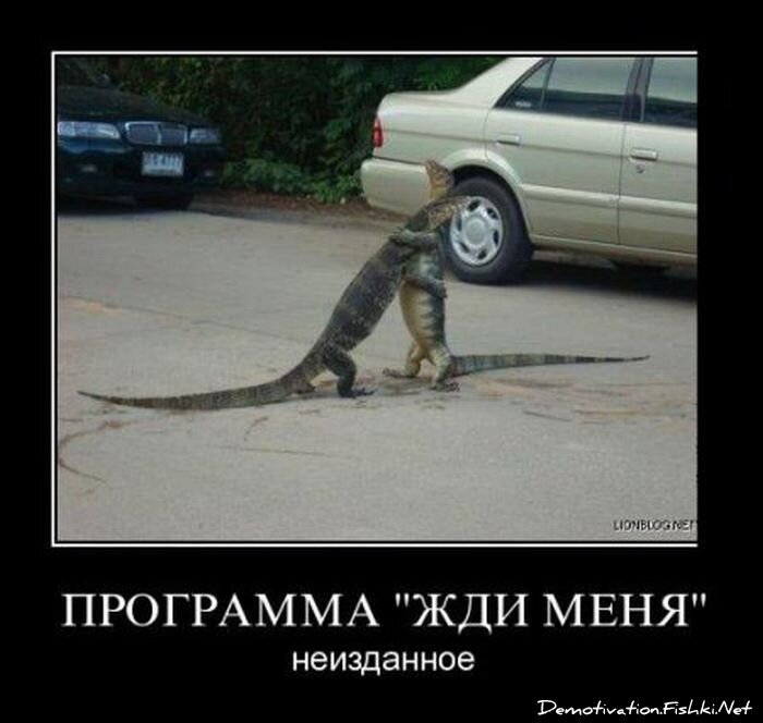 Демотиватор