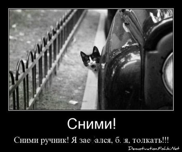 Демотиватор