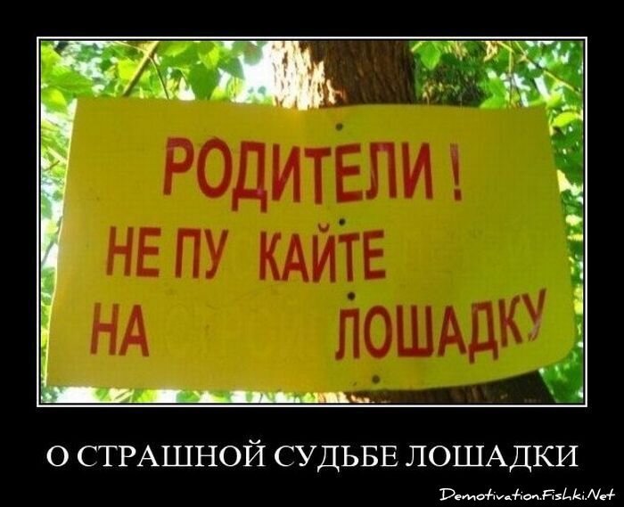 Демотиватор
