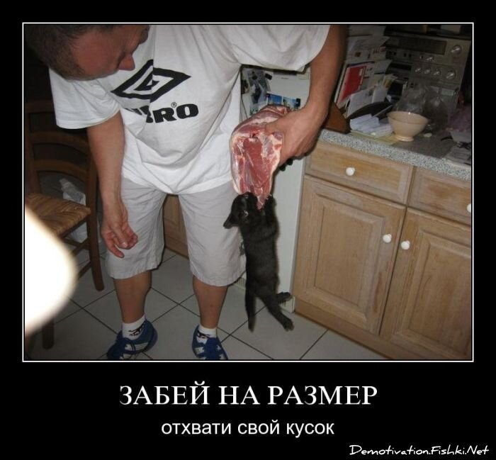 Демотиватор