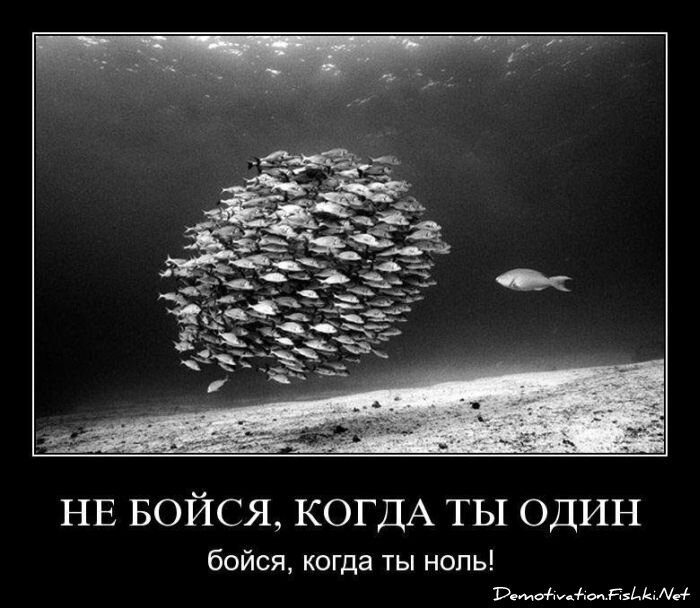 Смешной демотиватор от zubrilov за 23.11.2011 №94928