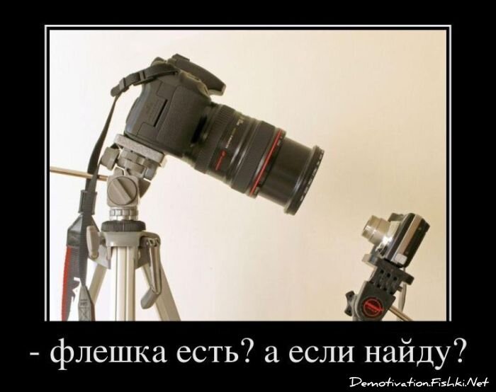 Смешной демотиватор от zubrilov за 25.11.2011 №95315