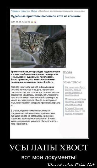 Смешной демотиватор от zubrilov за 25.11.2011 №95329