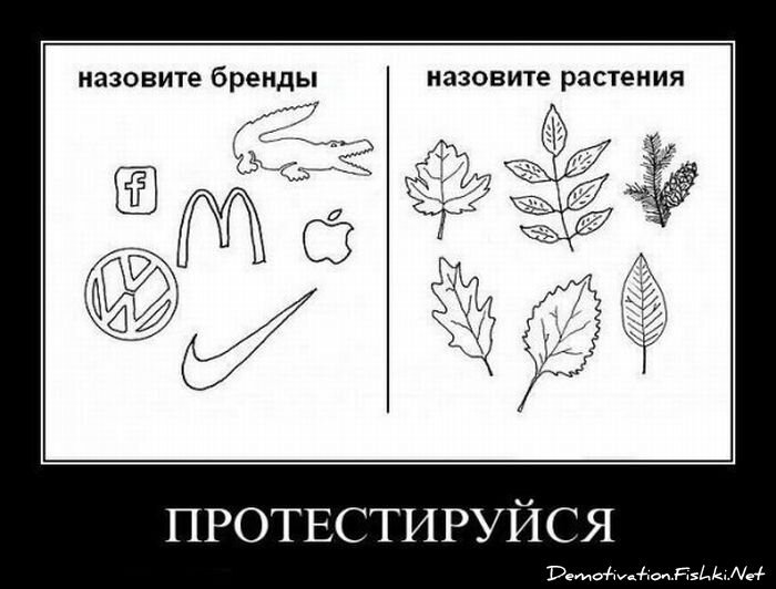 Демотиватор