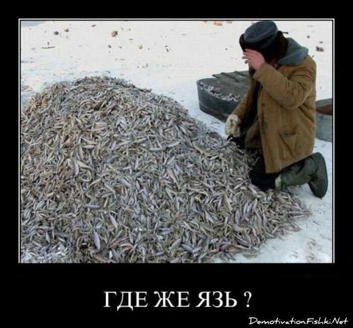 Смешной демотиватор от zubrilov за 25.11.2011 №95384