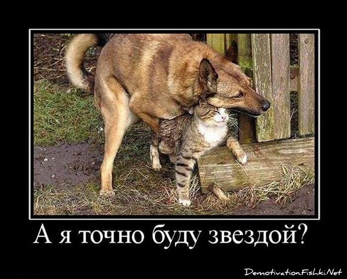 Демотиватор