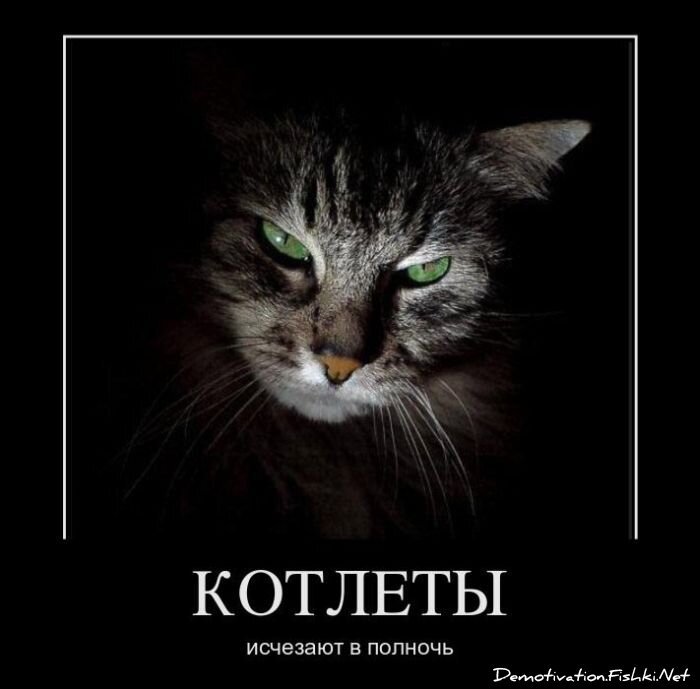 Демотиватор