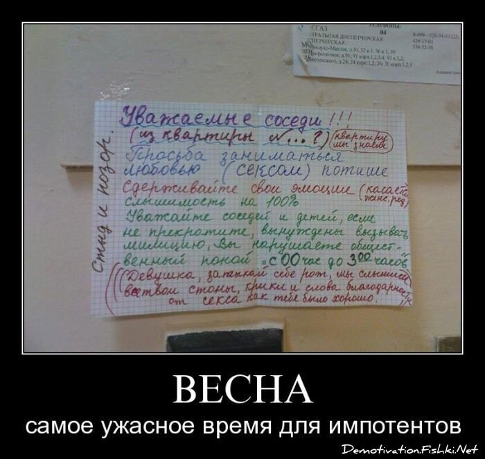 Демотиватор