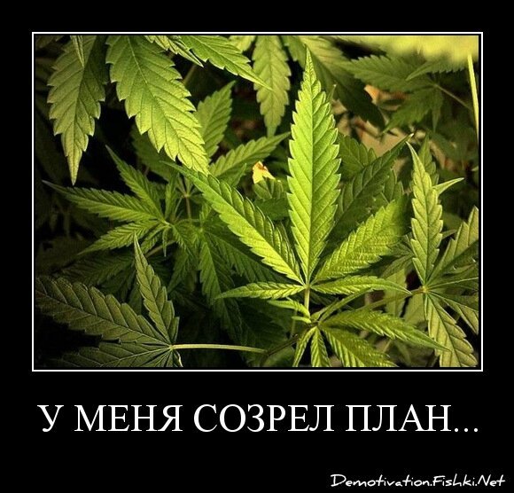 У МЕНЯ СОЗРЕЛ ПЛАН...