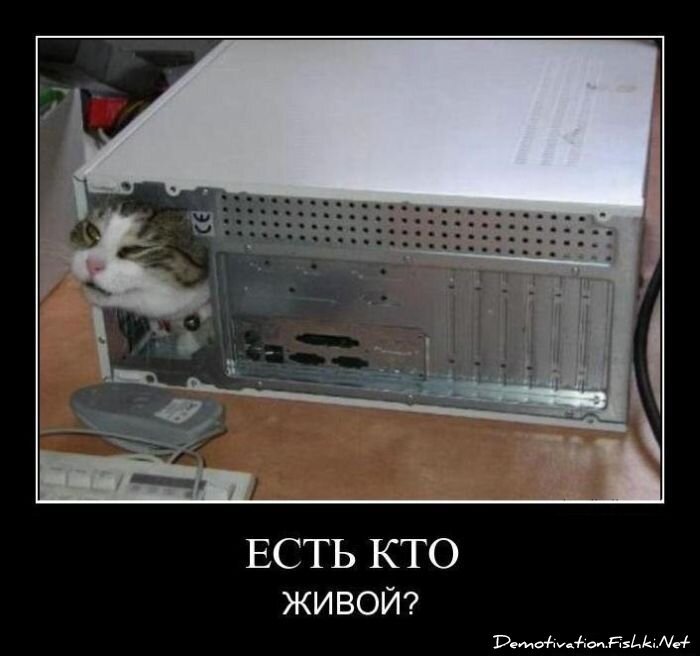 Смешной демотиватор от zubrilov за 09.12.2011 №96798
