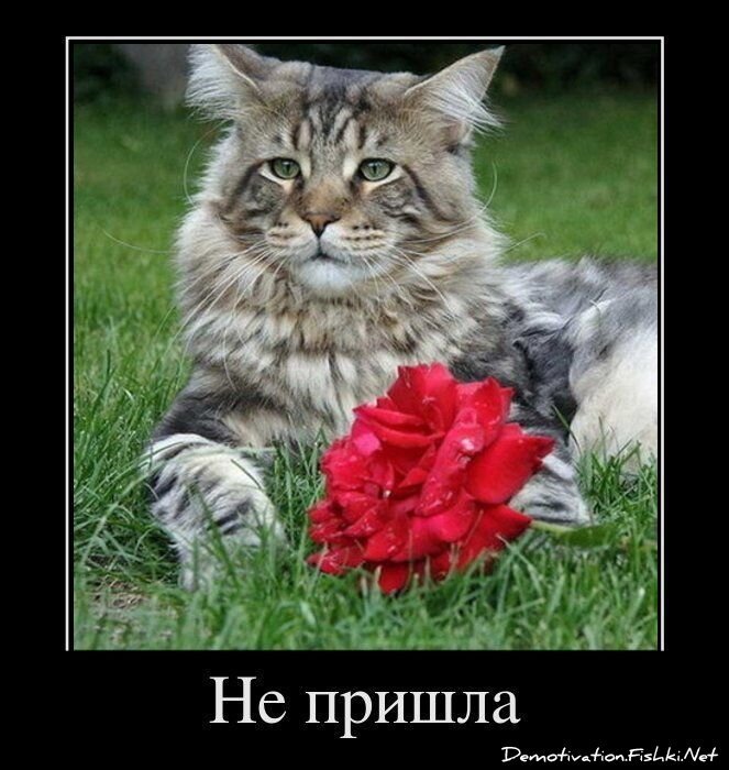 Смешной демотиватор от zubrilov за 09.12.2011 №96855