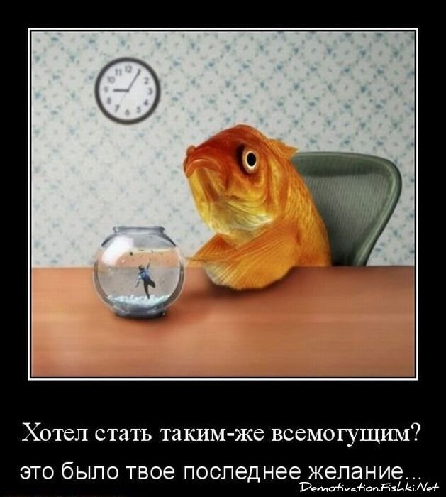 Демотиватор