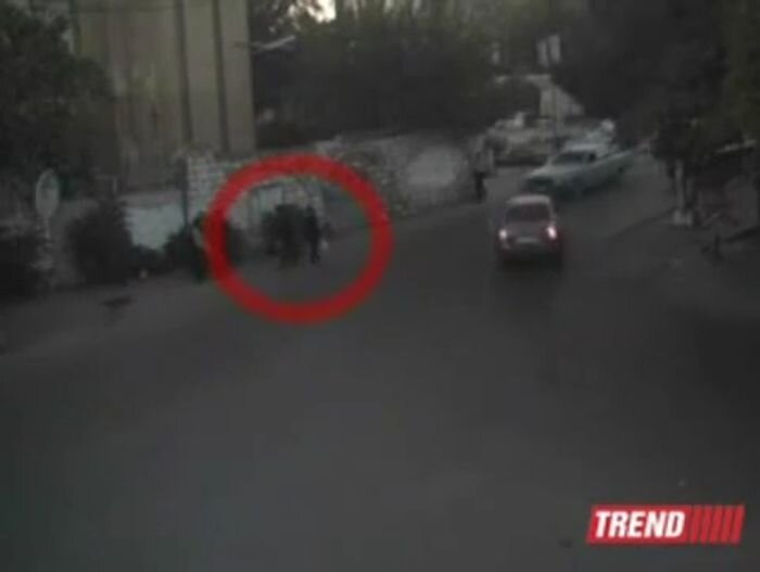 Видео дня