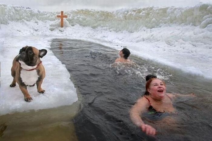 Фотоальбом