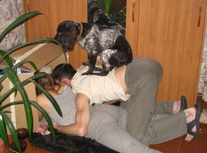 Смешной фотоприкол