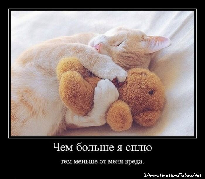 Демотиватор