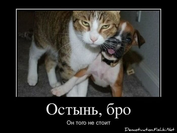 Смешной демотиватор от zubrilov за 11.01.2012 №99395