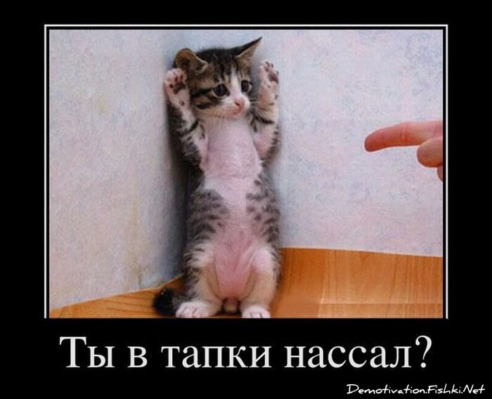 Демотиватор