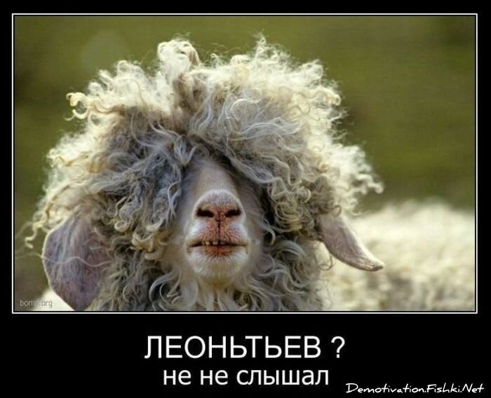 Смешной демотиватор от zubrilov за 11.01.2012 №99421