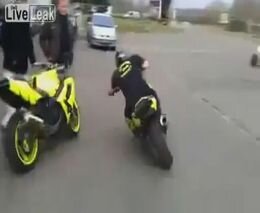 Подборка роликов