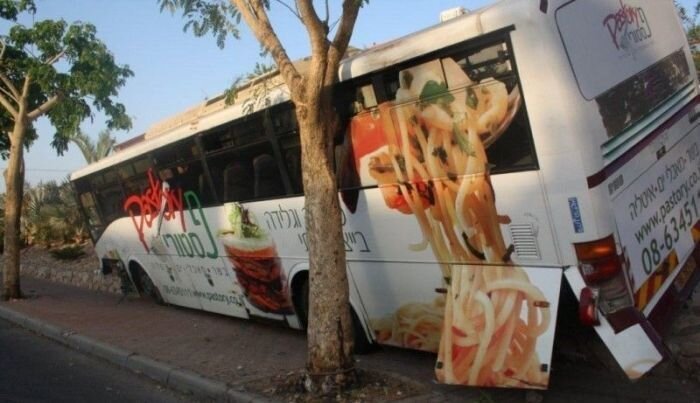 Израильский автобус затесался между деревьев (5 фото)