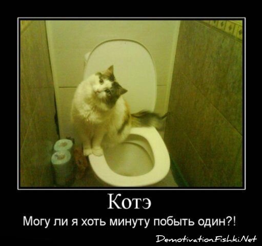 Смешной демотиватор от zubrilov за 13.01.2012 №99714
