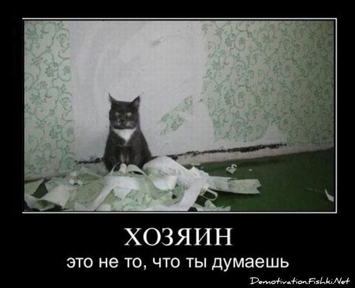 Смешной демотиватор от zubrilov за 13.01.2012 №99727