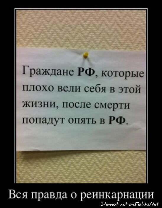 Смешной демотиватор от zubrilov за 13.01.2012 №99754
