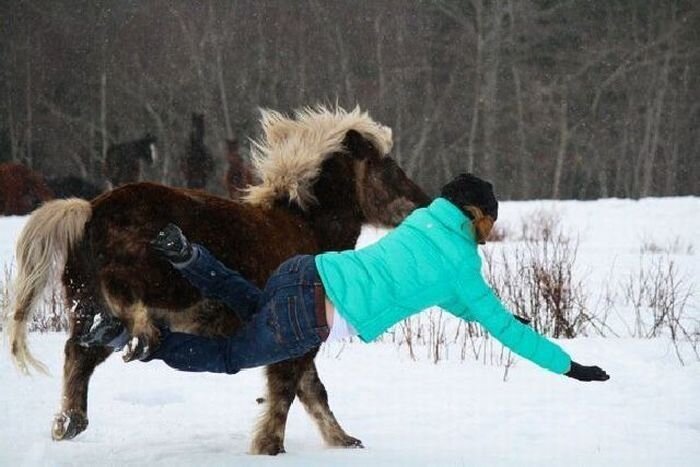 Свежий фотоприкол